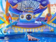 -海合安天津极地海洋公园