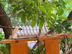 -Santoor 萨都里印度餐厅(北锣鼓巷店)