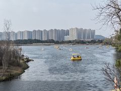-洋湖国家湿地公园