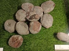 -珠海市博物馆