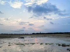 -日照海滨国家森林公园