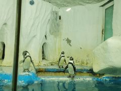 -太平洋海底世界