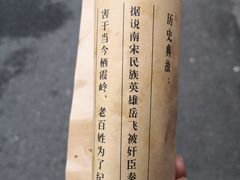 -孙奶奶葱包桧