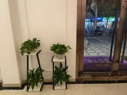 -香秀空间科技抗衰·美容中心