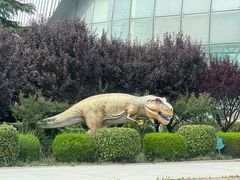 -诸城市恐龙博物馆