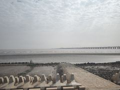 -南汇新城海滩