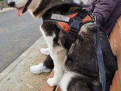 -白水寺森林公园