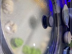 -挂雪铁锅炖大鹅