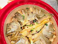 -1937青岛老味道·海肠捞饭·青岛菜(大鲍岛栈桥店)