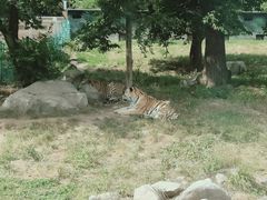 -西安秦岭野生动物园