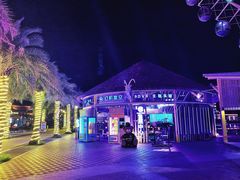 -三亚海昌梦幻海洋不夜城