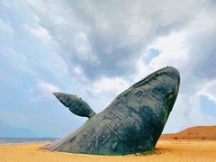 -烟台金沙滩海滨公园