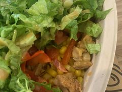 -油梨树AVOCADO TREE(嘉里中心店)