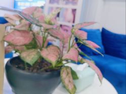 -蕾特恩专业祛痘·皮肤管理