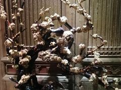 -食欲老院子荆芥疙瘩汤(经五路店)