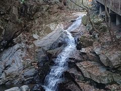 -藏龙百瀑风景区