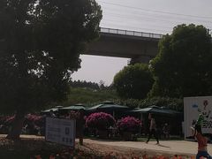 -秀丽东方