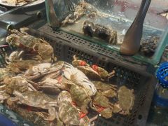 -九月海·海鲜自助(世纪东方店)