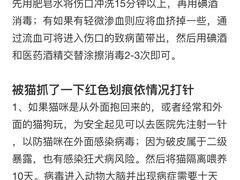 -小时光咖啡馆(开森度假森林店)