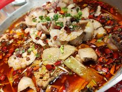 -爱妻鱼•老体北重庆水煮鱼•川菜(白云路店)