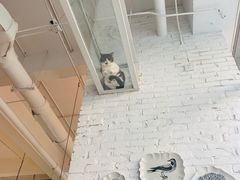 -娜娜家•Nana’Garden (福州道店)