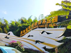 -西双版纳原始森林公园