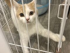 -白衬衫照相馆(五彩店)