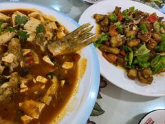 -煲来饱去冷水鱼