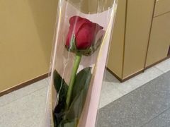 -海底捞火锅(荣盛广场店)