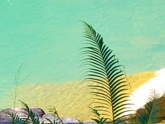 -广州白江湖森林公园