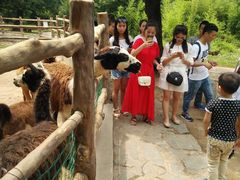 -西安秦岭野生动物园