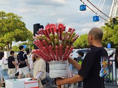 -南昌之星摩天轮