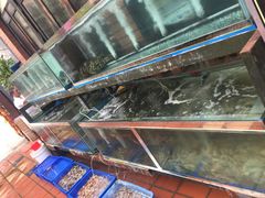 -越海渔村