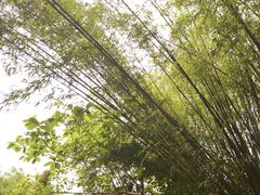 -英西峰林·洞天仙境