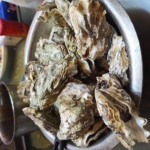 -力力渔港涉外店