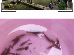 -湖洞水自然风景区