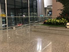 -上海浦东国际机场-T2航站楼
