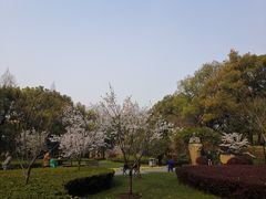 -徐家汇源景区-衡山公园