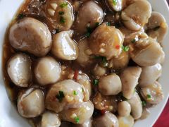 -老张桥新天地羊肉店