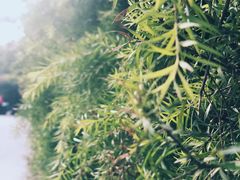 -云里小坐·小院里·团建·宴请·下午茶(三圣乡店)