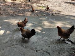 -三门江国家森林公园