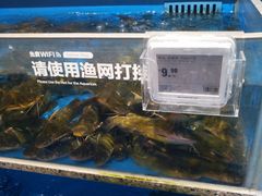 -盒马鲜生(富田新天地店)
