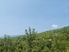 -白水寺森林公园