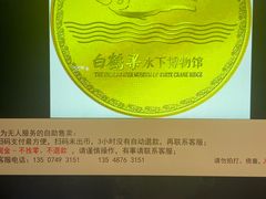-白鹤梁水下博物馆
