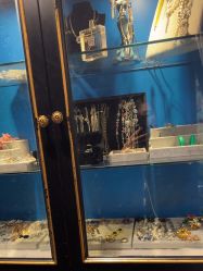 -鼎极摄影(蓝色港湾店)
