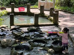 -成都市活水公园