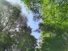 -北山公园