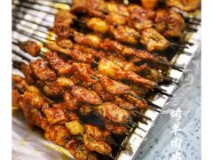 -尕胡才炕锅烤羊肉馆(八一路店)