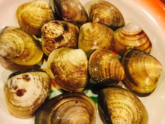 -鲜入围煮花胶鸡海鲜火锅