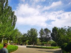 -大青山野生动物园